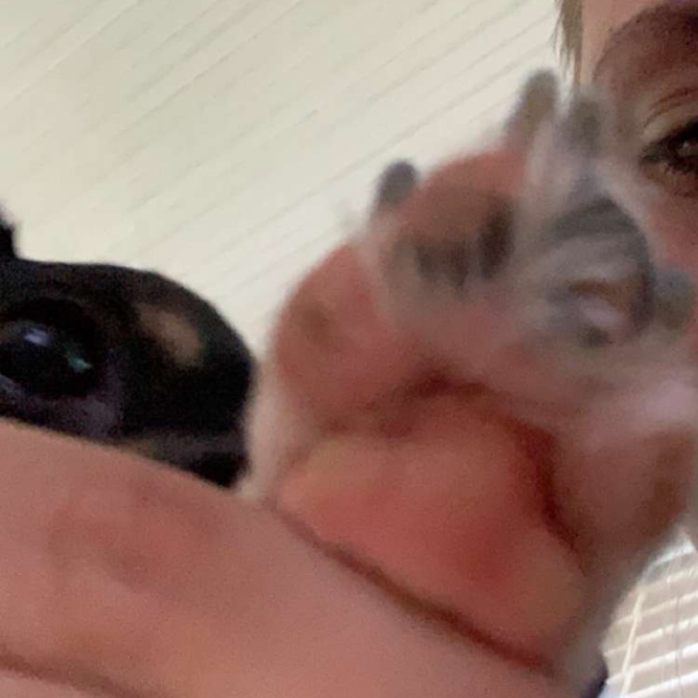 Meet your Posher, Zoë